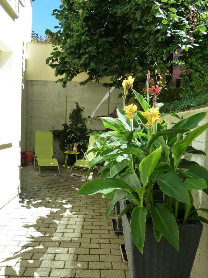 Ferienwohnung Baumann Ringsheim Cameră foto
